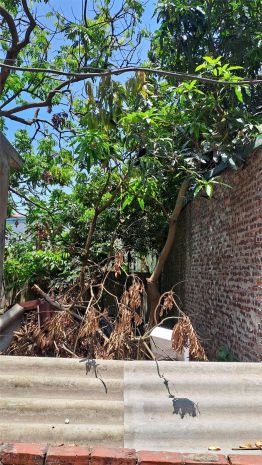Bán đất đại áng 30m², ô tô vào đất giá chỉ 3,5 tỷ có thương 7624902