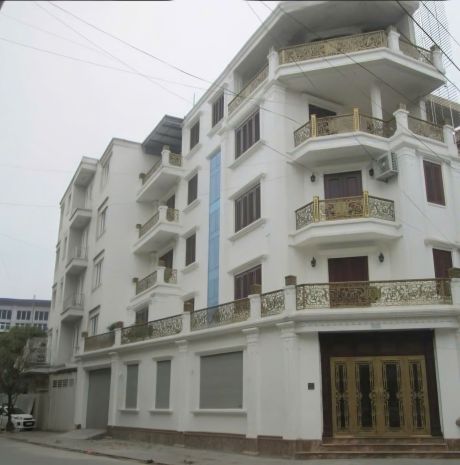 Nhà tôi cho thuê nhà, 104m2- 5t, hàng điếu, hàng da, hàng 7625733