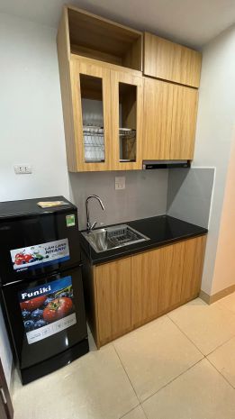 Chính chủ cho thuê căn hộ mini mới hoàn thiện 100  full 7625913
