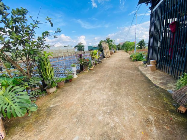 Bán 112,5m2 đất tổ 34  thị trấn liên nghĩa  đức trọng  lâm 7626157