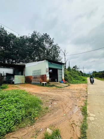 Chính chủ cần bán nhà đất tại thôn đức nhầy 3  xã đắk dục 7626585