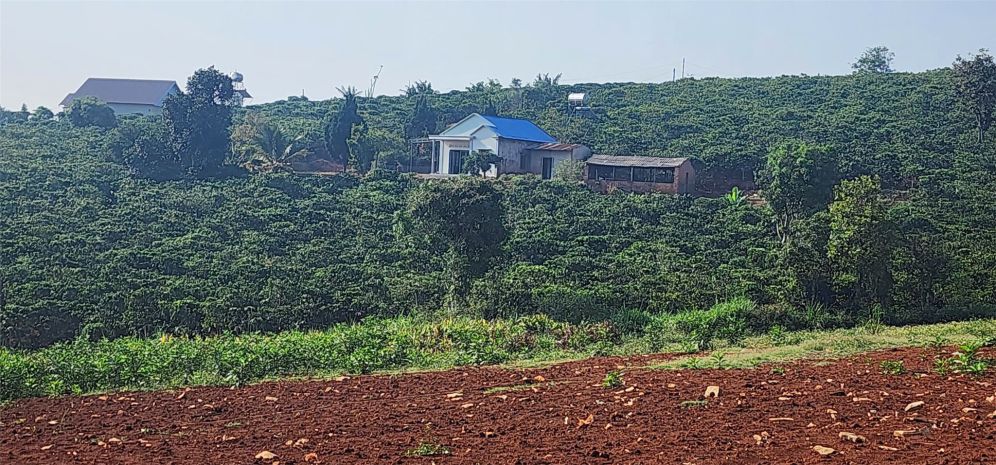 Đất đẹp  giá tốt  chính chủ cần bán đất tại nam hà, lâm 7626838