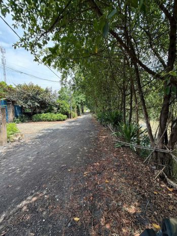 Hot! gấp 1.181m² gần vinhomes hóc môn chỉ 13,99 tỷ 7627539