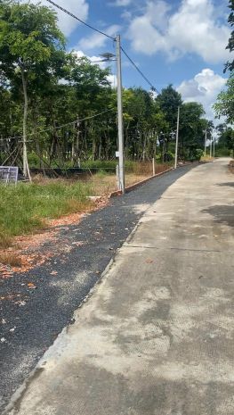 Chủ ôm hết nổi  cần bán gấp vườn mít 175m² có sẵn thổ cư 7629179