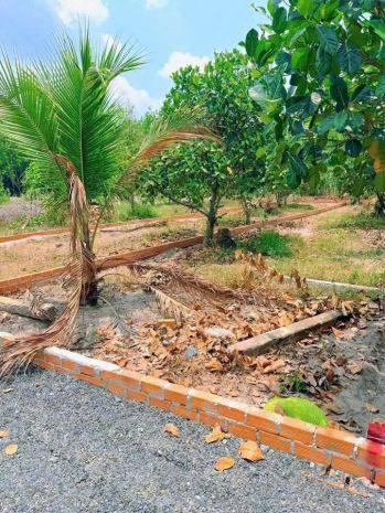 Chủ ôm hết nổi  cần bán gấp vườn mít 175m² có sẵn thổ cư 7629180