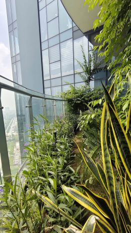 Bán căn hộ 3pn tầng cao  view sông, cạnh vườn treo s3 7630277