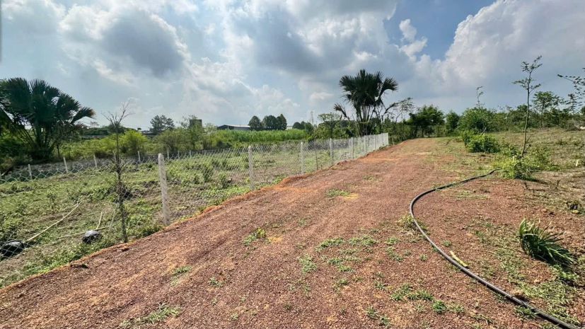 Chỉ 430triệu  sở hữu ngay lô đất nhà vườn 500m² tại vĩnh an 7631228