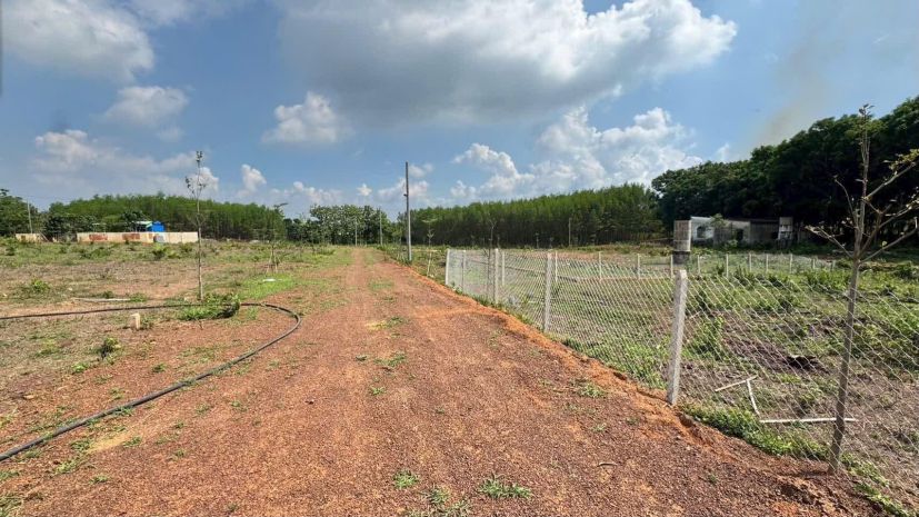 Chỉ 430triệu  sở hữu ngay lô đất nhà vườn 500m² tại vĩnh an 7631232