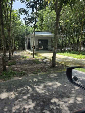 Đầu tư sinh lời - chính chủ cần bán lô đất xã minh thạnh, 7634099