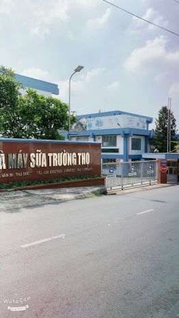 Bán đất mặt tiền đường số 6  phường trường thọ, thành phố 7634394