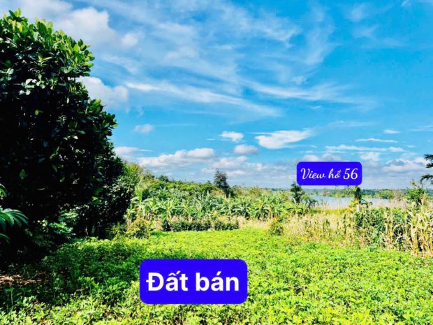Cần bán lô đất tại thôn 7, xã ea ning, huyện cư kuin, đắk 7635411