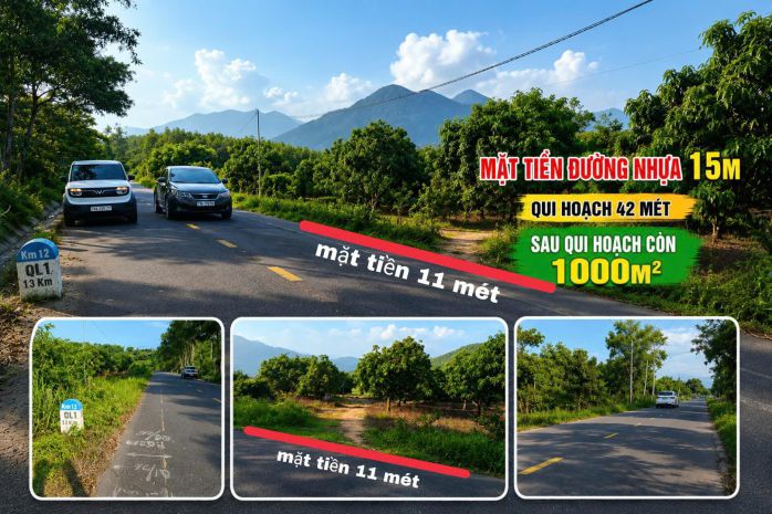 Chính chủ bán đất sát fram nông trại vui 1 05 tỷ 1155m2 giá 7636873