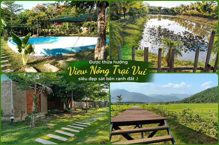 Chính chủ bán đất sát fram nông trại vui 1 05 tỷ 1155m2 giá 7636875