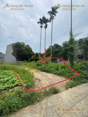 156m xuân thủy-thủy xuân tiên-chương mỹ-hà nội 7638091
