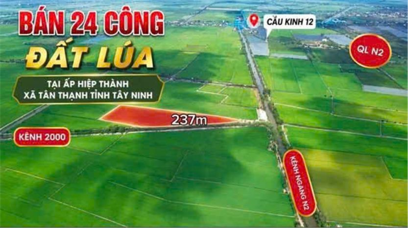 Đất đẹp  đầu tư sinh lời  cần bán 3 lô đất giá tốt  ấp 7644189