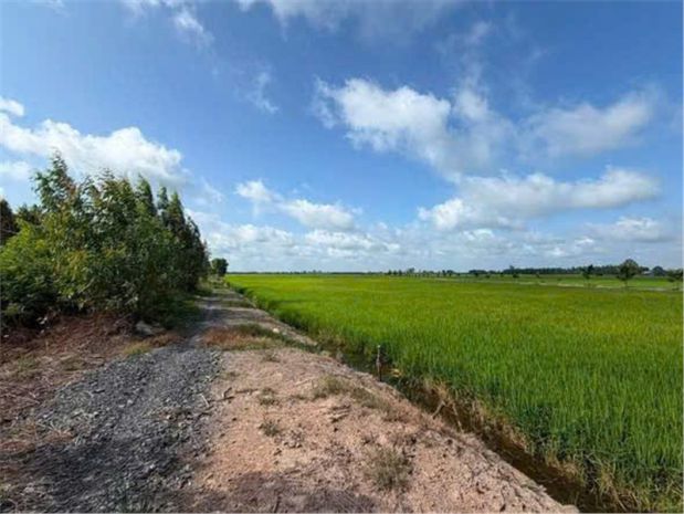 Đất đẹp  đầu tư sinh lời  cần bán 3 lô đất giá tốt  ấp 7644192
