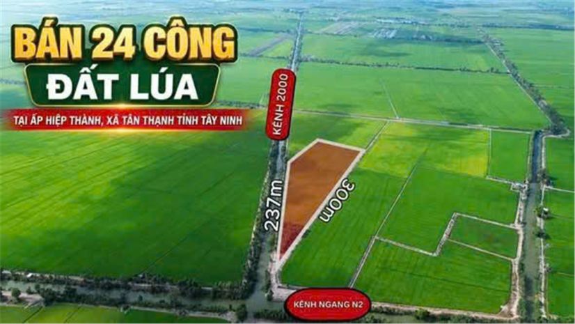 Đất đẹp  đầu tư sinh lời  cần bán 3 lô đất giá tốt  ấp 7644193