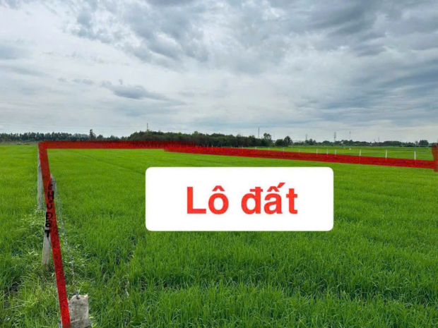 Ngộp cắt lỗ! 6.000m² đất củ chi chỉ 1 triệum²  giá chốt 6 7644875