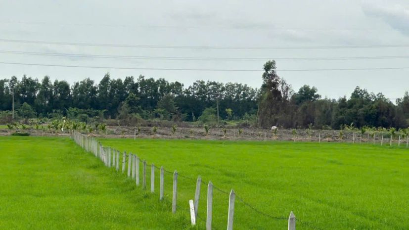 Ngộp cắt lỗ! 6.000m² đất củ chi chỉ 1 triệum²  giá chốt 6 7644877