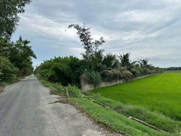 Ngộp cắt lỗ! 6.000m² đất củ chi chỉ 1 triệum²  giá chốt 6 7644878