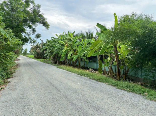 Ngộp cắt lỗ! 6.000m² đất củ chi chỉ 1 triệum²  giá chốt 6 7644879