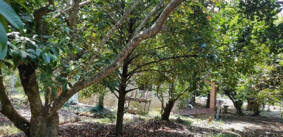 Siêu phẩm đất khu dân cư  trung an, củ chi  quy mô khủng 7644909
