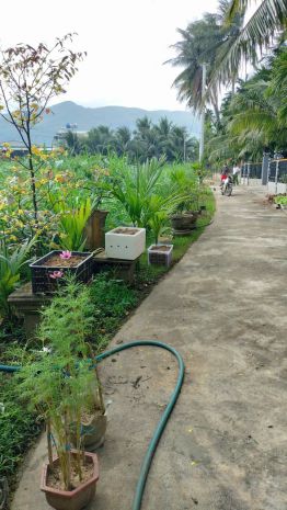 Hot hot  chính chủ cần bán lô đất góc tại x. hoài sơn, tx. 7646597