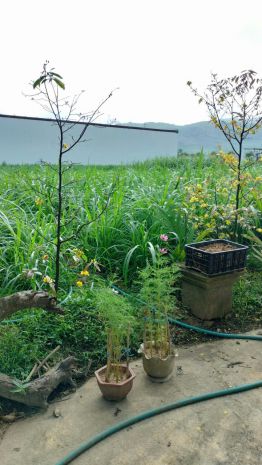 Hot hot  chính chủ cần bán lô đất góc tại x. hoài sơn, tx. 7646600