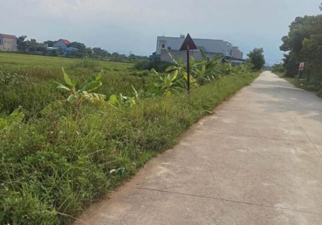 Chính chủ cần bán lô đất cạnh trường tiểu học đại hoàng xã 7648599