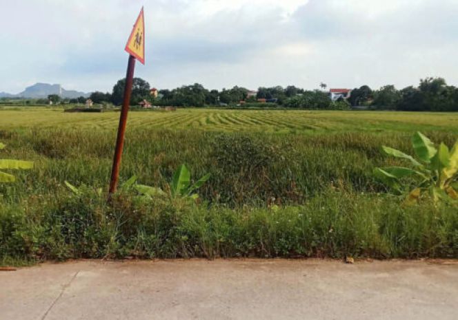Chính chủ cần bán lô đất cạnh trường tiểu học đại hoàng xã 7648602