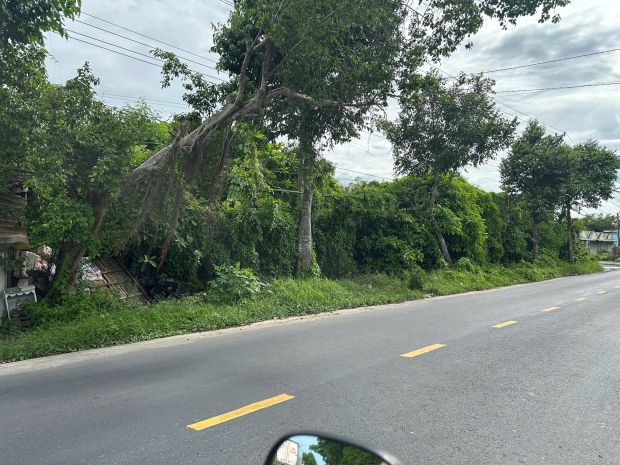 Bán khu đất kho xe  cây xăng adv, tp. sóc trăng 7649034