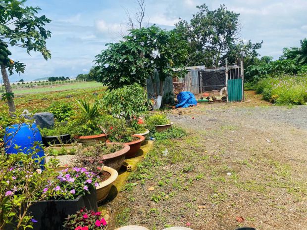 Rẻ nhất thị trường có 1 ko 2-giảm cực sâu 900 triệu - bán 7649091