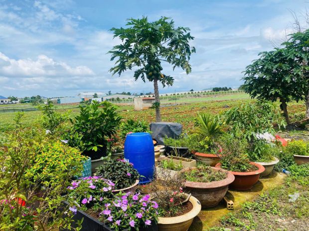 Rẻ nhất thị trường có 1 ko 2-giảm cực sâu 900 triệu - bán 7649094