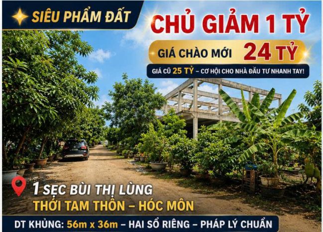 Chủ giảm ngay 1 tỷ  giá chào mới chỉ 24 tỷ  đất vườn 1 7653463