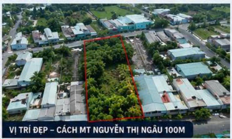 Chủ giảm ngay 1 tỷ  giá chào mới chỉ 24 tỷ  đất vườn 1 7653466