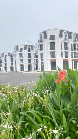 Thật không thể tin nổi chỉ 800tr ký ngay hợp đồng mua bán că 7655740