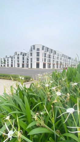 Thật không thể tin nổi chỉ 800tr ký ngay hợp đồng mua bán că 7655743