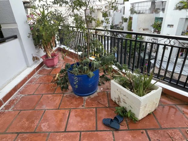 Nhà bán  căn góc ngô đức kế, phuường nha trang ,
căn góc 7655859
