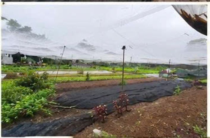Đất rộng 1.562m²  chỉ 300m ra chợ hóc môn  300m² thổ cư 7655939