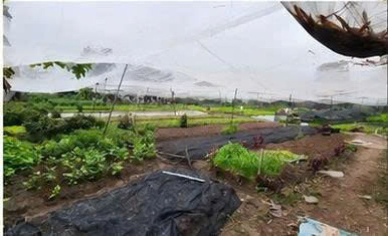 Đất rộng 1.562m²  chỉ 300m ra chợ hóc môn  300m² thổ cư 7655940