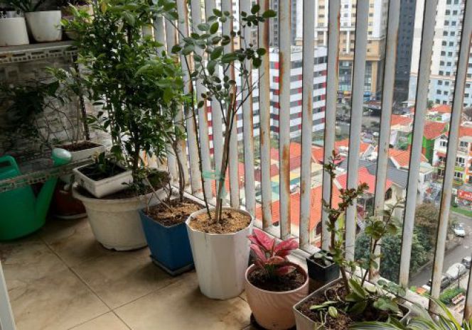Bán căn hộ chung cư thông tấn xã việt nam, định công, hà nội 7657591