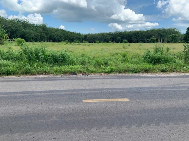 Bán quỹ đất 2,35 ha mặt tiền đường nhựa  phường long 7659732