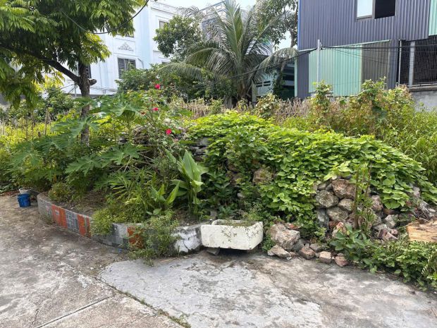 Đất chính chủ - giá tốt tại đường cát linh, phường tràng 7660024