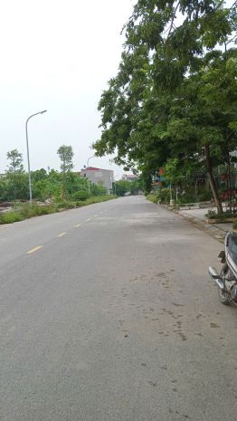 Chính chủ cần bán đất 50 năm nam hồng - đồng kỵ,từ sơn, bắc 7665243