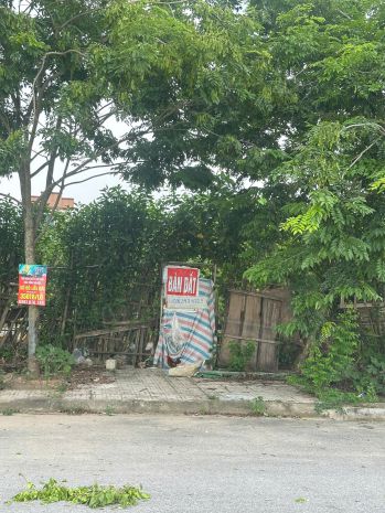 Chính chủ cần bán đất 50 năm nam hồng - đồng kỵ,từ sơn, bắc 7665244