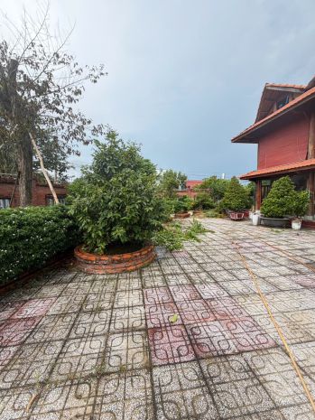 Nhà đẹpgiá tốtchính chủ cần bán nhanh căn nhà gỗ xã mỹ 7670381
