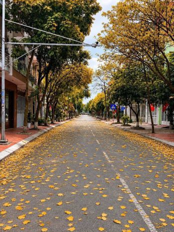 Đất mặt phố ngô hoán kđt đông nam cường 88m2 giá 4.x tỷ 7670493