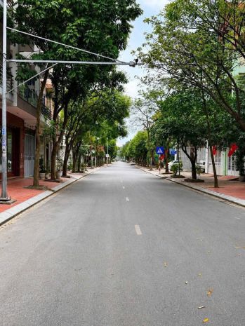 Đất mặt phố ngô hoán kđt đông nam cường 88m2 giá 4.x tỷ 7670494