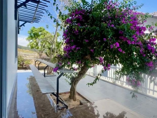 Cần bán nhà vườn 503m² có 100m² thổ cư, sân vườn rộng 7671026