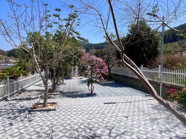 Cần bán nhà vườn 503m² có 100m² thổ cư, sân vườn rộng 7671029